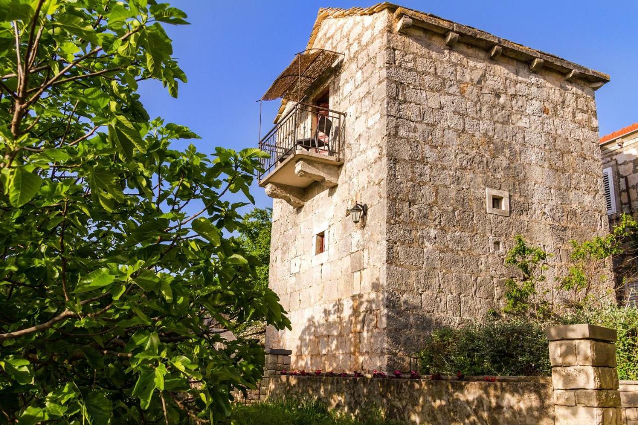 Old Small Stone House Zrnovo Eksteriør bilde