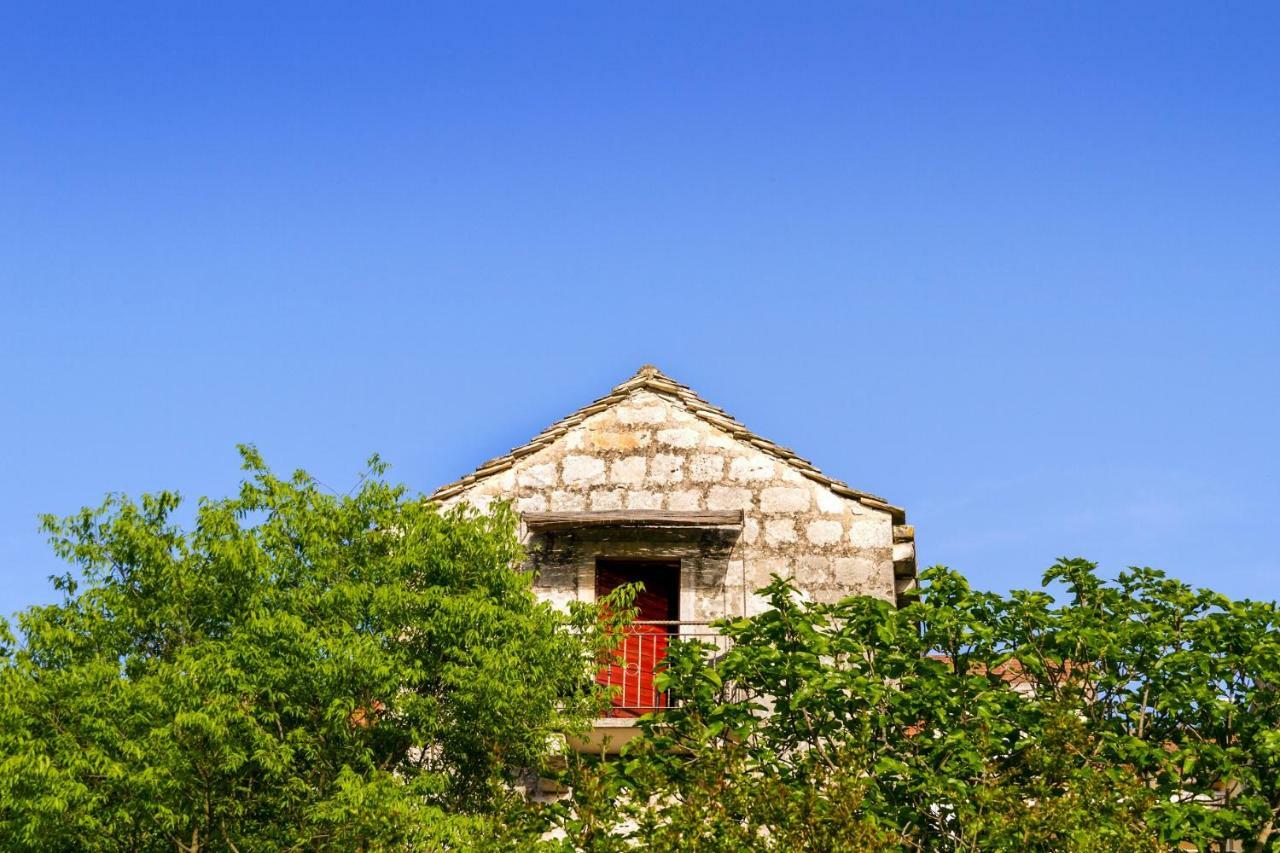 Old Small Stone House Zrnovo Eksteriør bilde